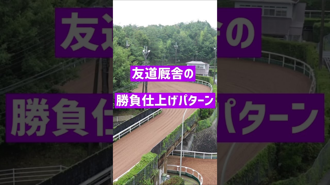 【オークス2023】2023オークス1週間前追い切り速報#オークス2023#追い切り#優駿牝馬2023