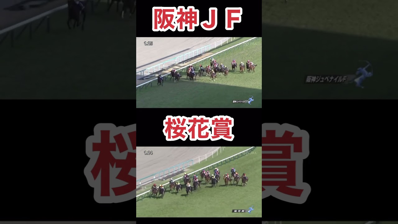 リバティアイランド、オークス勝利で2冠目を目指す
