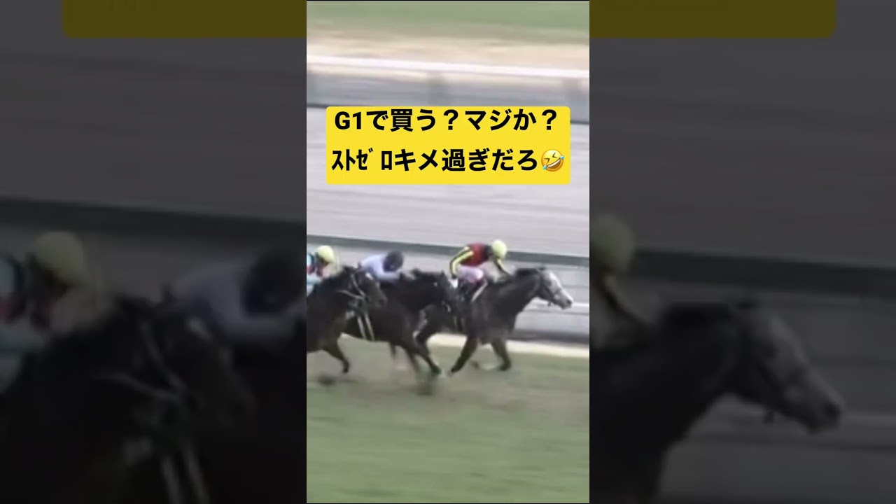 高松宮記念だけど…ナムラクレアなんてくるワケねーだろwww #競馬 #競馬予想 #高松宮記念 #ナムラクレア