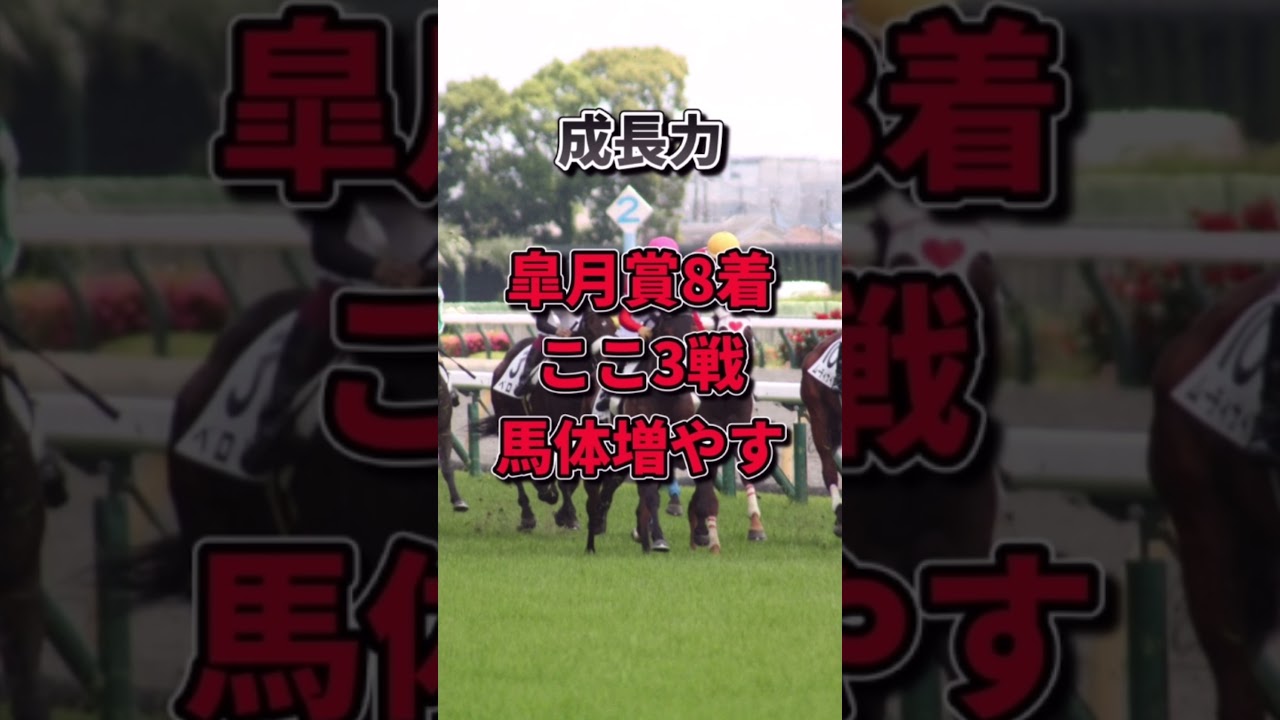 【大阪杯2023】30秒でわかるラーグルフ