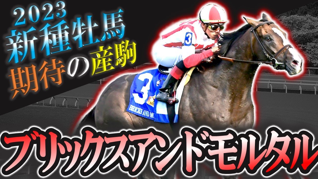 【2歳馬】"令和のサンデーサイレンス" ブリックスアンドモルタル期待の産駒を10頭紹介します！【pog23-24】【新種牡馬】