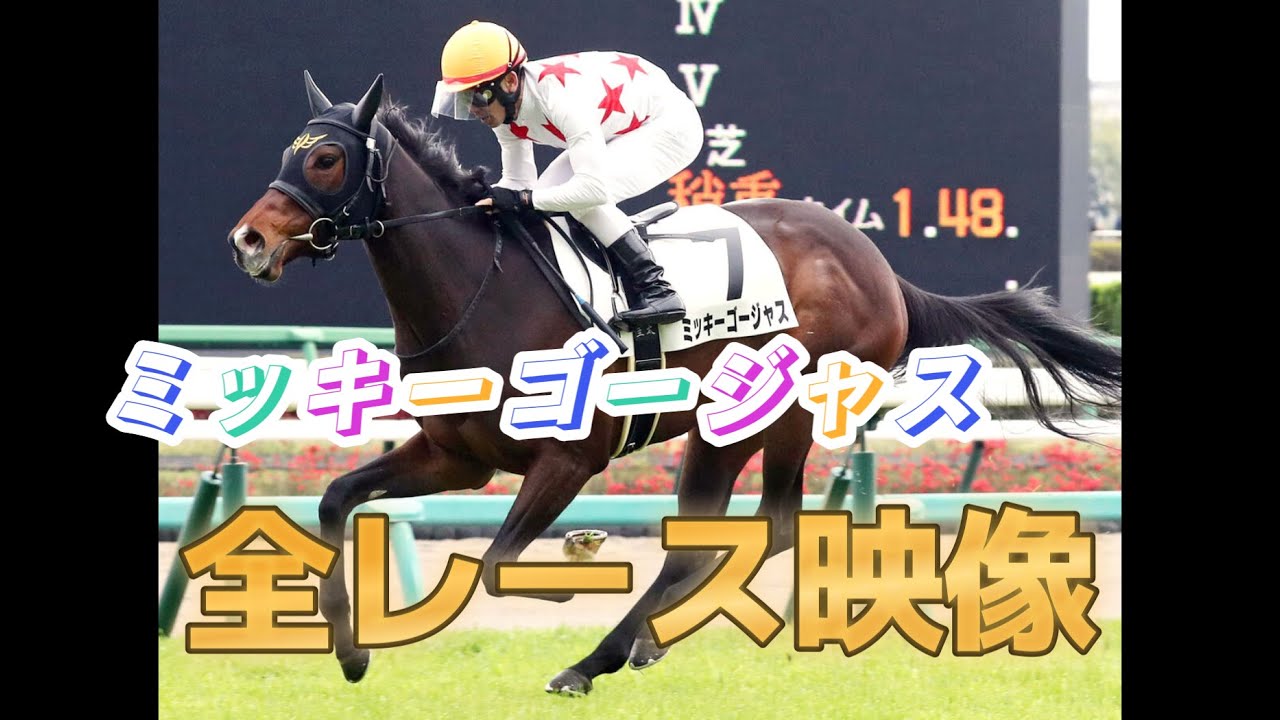 【現役競走馬】ミッキーゴージャス