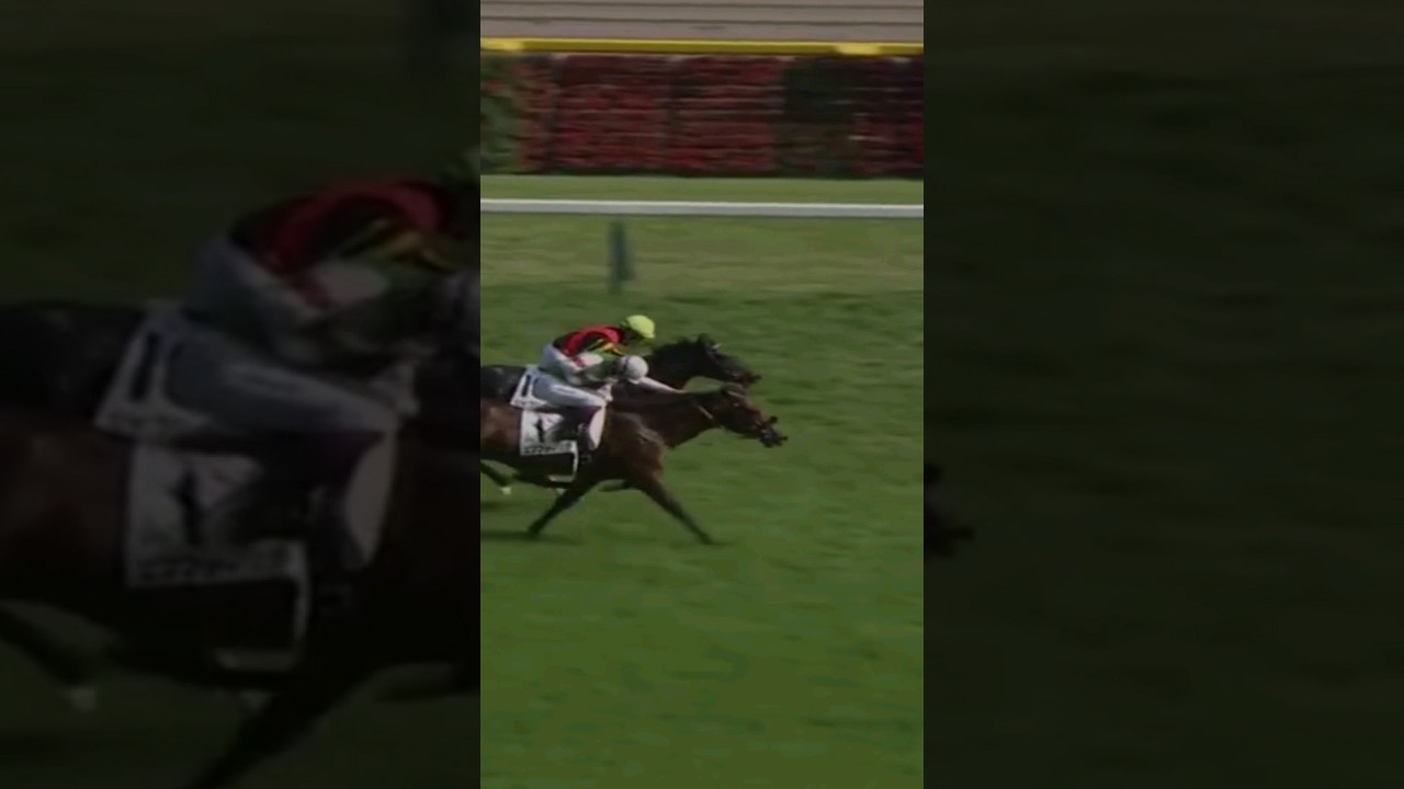 思い出の名馬たち『東京優駿 日本ダービー』予告編 #思い出の名馬たち #日本ダービー #競馬