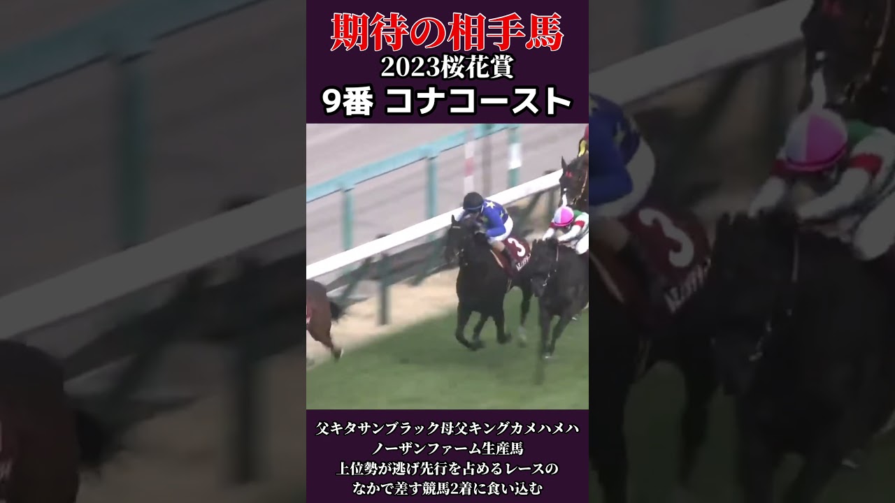 【might be a HERO 期待の相手馬】2023 桜花賞 コナコースト #競馬 #重賞 #keiba #競馬予想 #g1