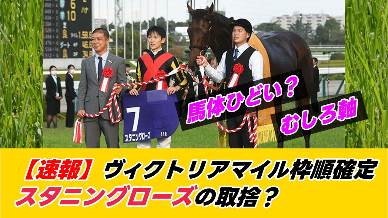 【速報】ヴィクトリアマイル枠順確定！スタニングローズの取捨？