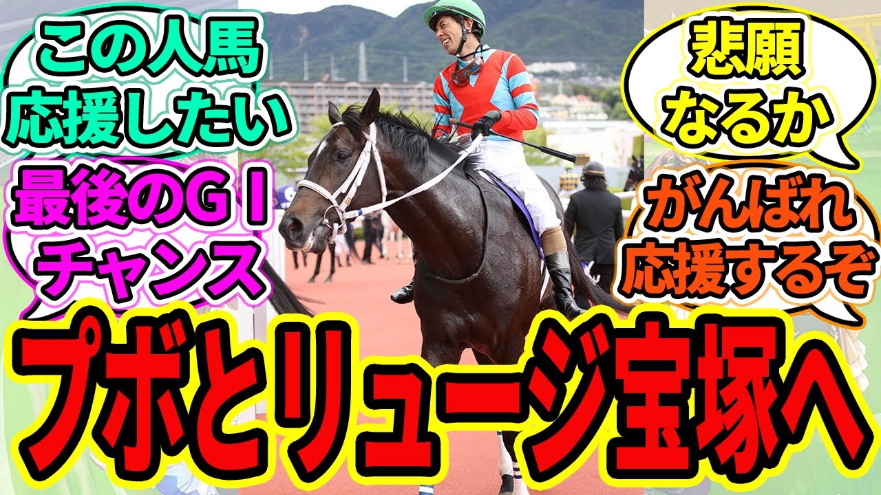 『ディープボンドと和田竜二、宝塚へ』に対するみんなの反応【ウマ娘プリティーダービー 競馬の反応集】