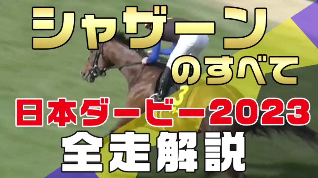 【シャザーンのすべて】（日本ダービー2023 東京優駿）新馬戦から前走までのレースぶりを振り返ってみました。