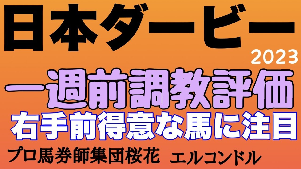 プロ馬券師集団桜花のエルコンドル氏の日本ダービー2023（東京優駿）一週前調教評価！！人気分けるソールオリエンスとスキルヴィングの出来は？！人気馬より人気薄の馬達が不気味！