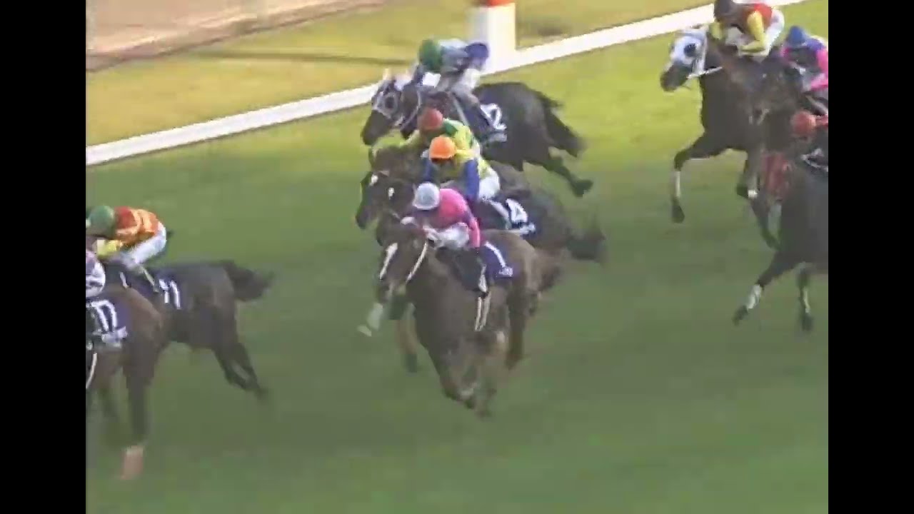 ナリタトップロード 2002年 第126回天皇賞(秋)(GI) (優勝馬：シンボリクリスエス) (実況：ラジオたんぱ)