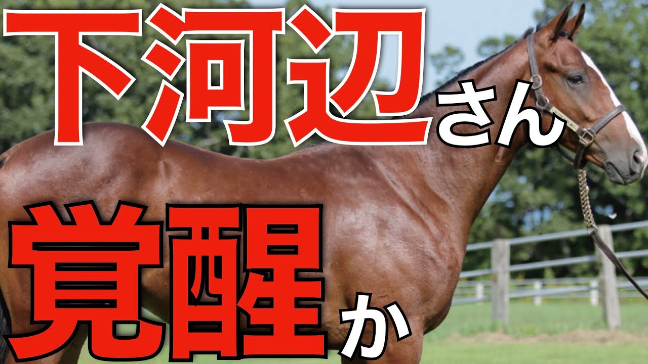 【見逃せない】日高の名門牧場が凄まじい勢い！種牡馬も成功で波に乗りそう。