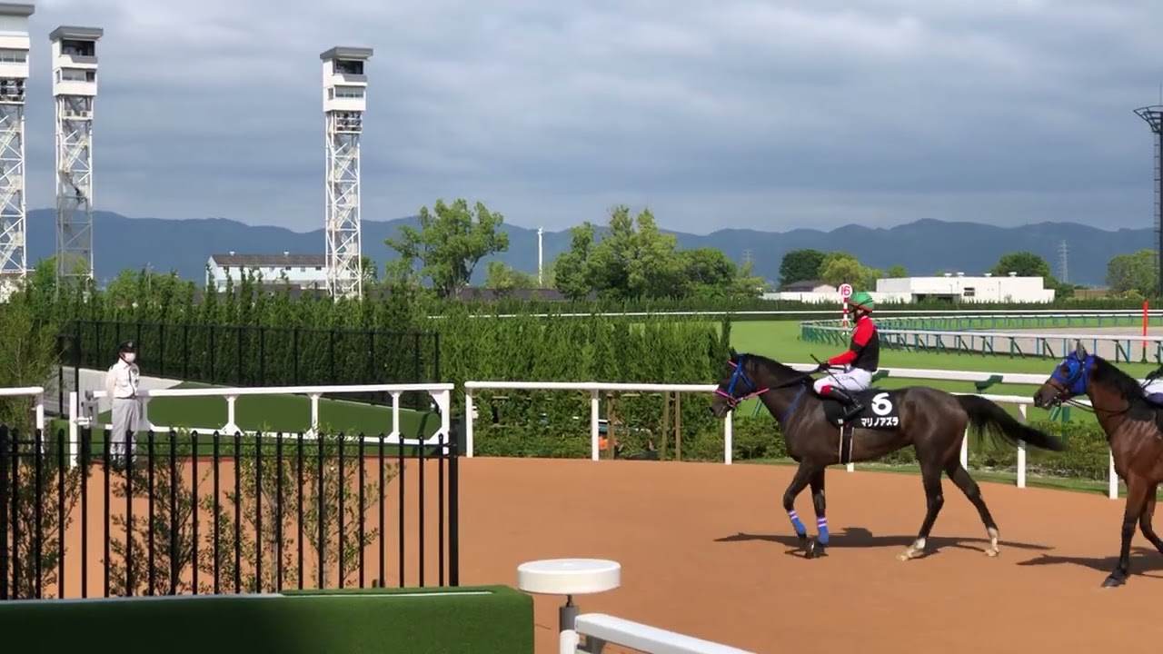【岩田康誠】現地映像  岩田騎手にめっちゃキレるおじさん  シドニートロフィー