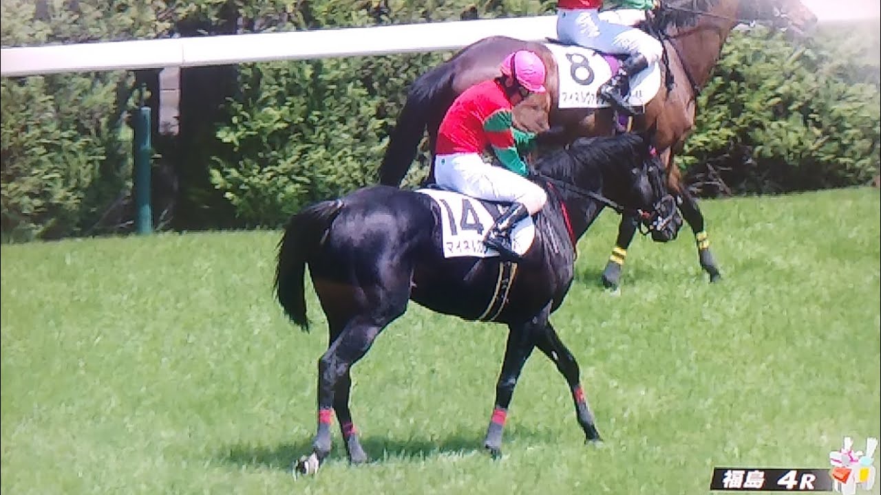 福島4レース障害オープン マイネルグロン