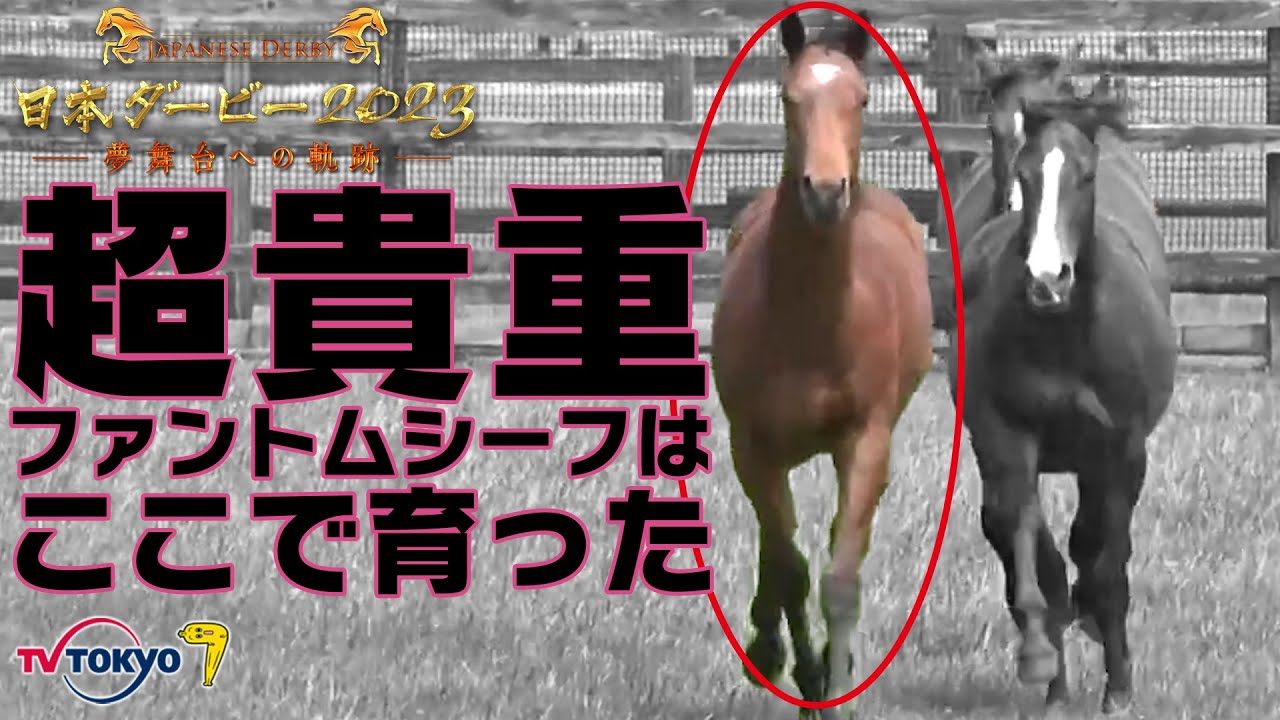 【ダービー直前！配信限定】ファントムシーフの生まれ故郷！育った環境と強さの秘密を発見！｜日本ダービー2023〜夢舞台への軌跡〜 本編も見逃し配信中！