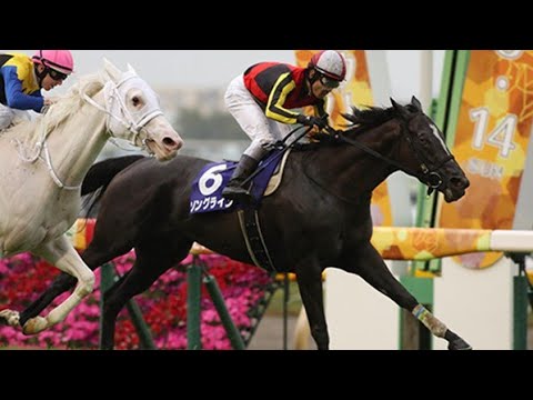 東京11Rヴィクトリアマイル2023ソングライン