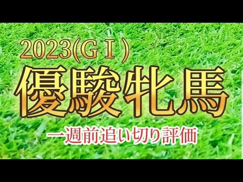 優駿牝馬2023 一週前追い切り評価