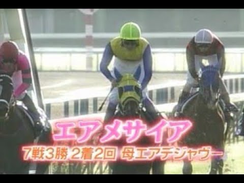 武豊TV！YUTAKA PLAYBACK　2005年 秋華賞 エアメサイア