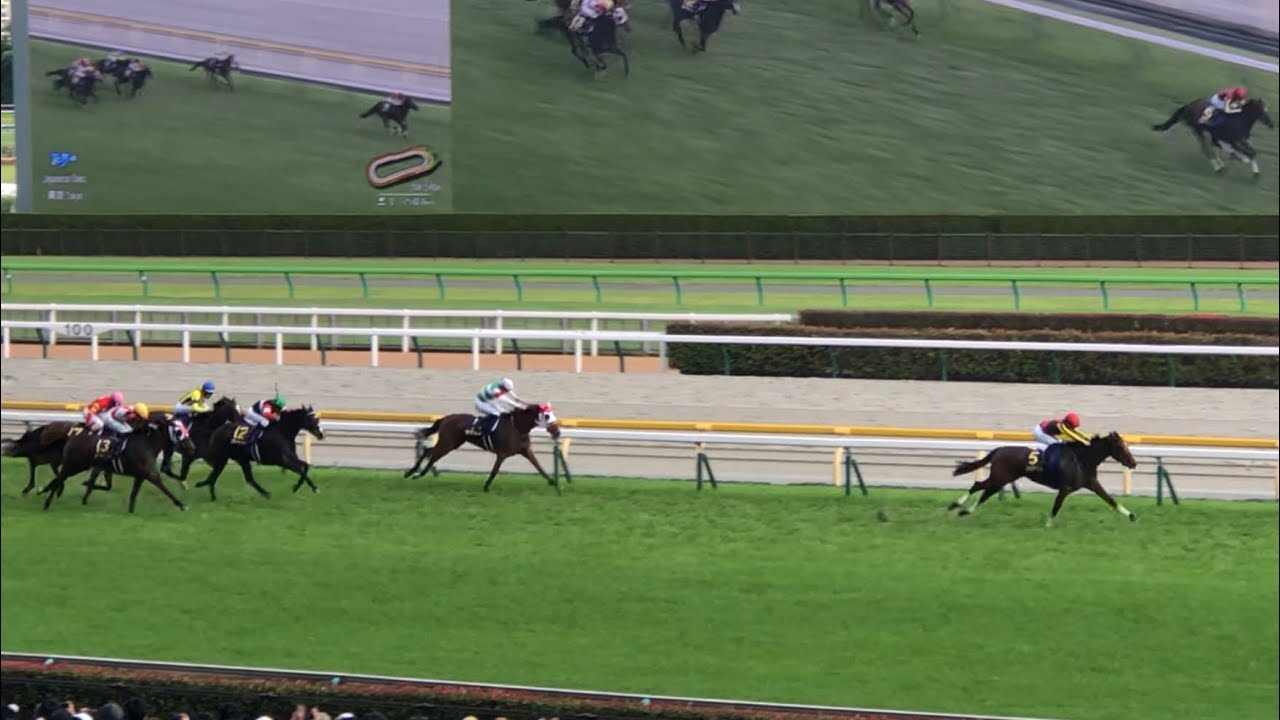【現地】リバティアイランド 2023 優駿牝馬 オークス