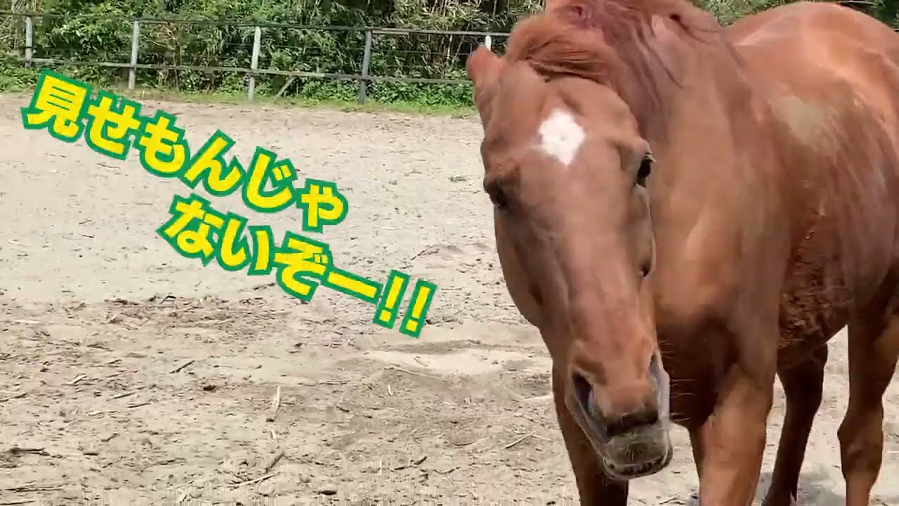 迷惑行為を撮影していたらありがちなシーン