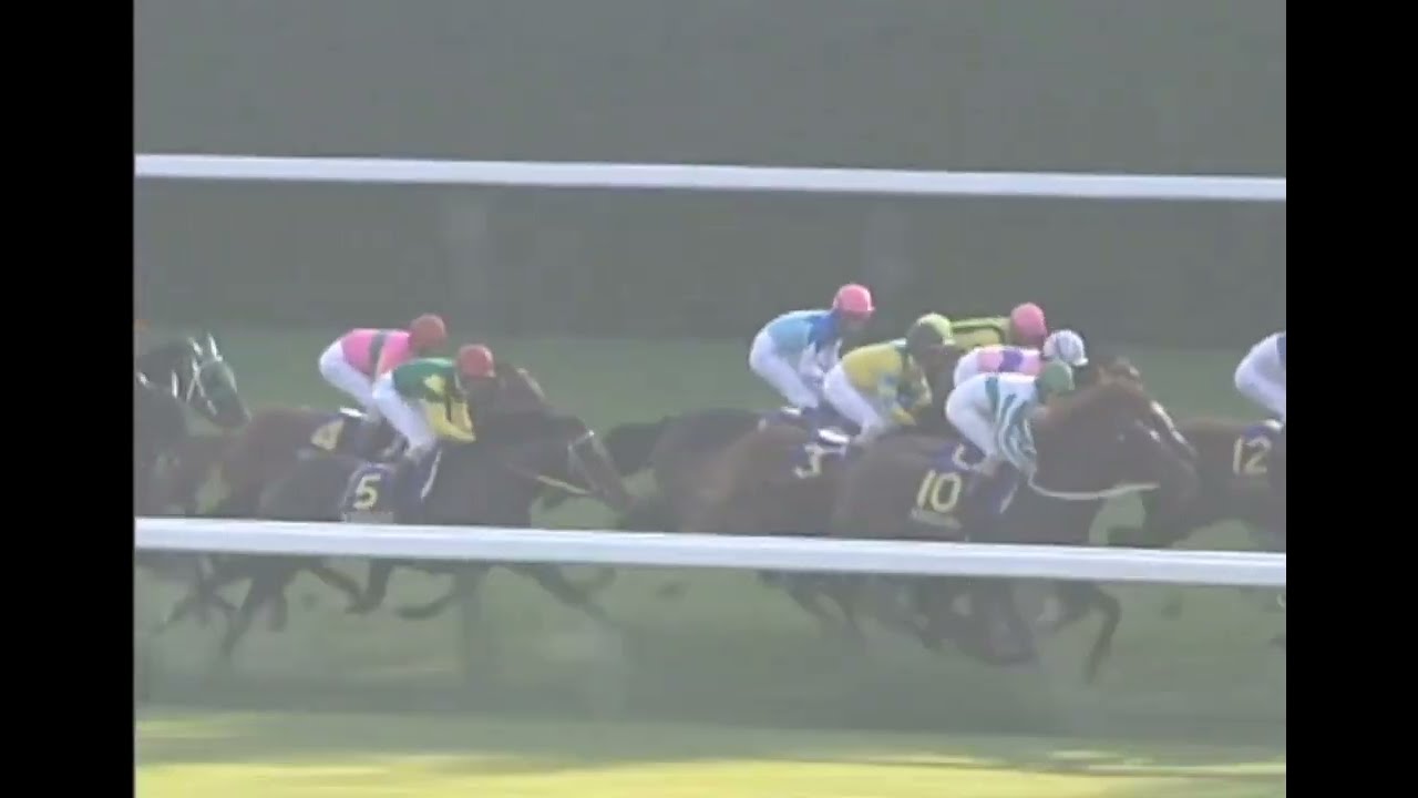 ナリタトップロード 1999年 第60回菊花賞(GI) (優勝馬：ナリタトップロード) (実況：ラジオたんぱ)