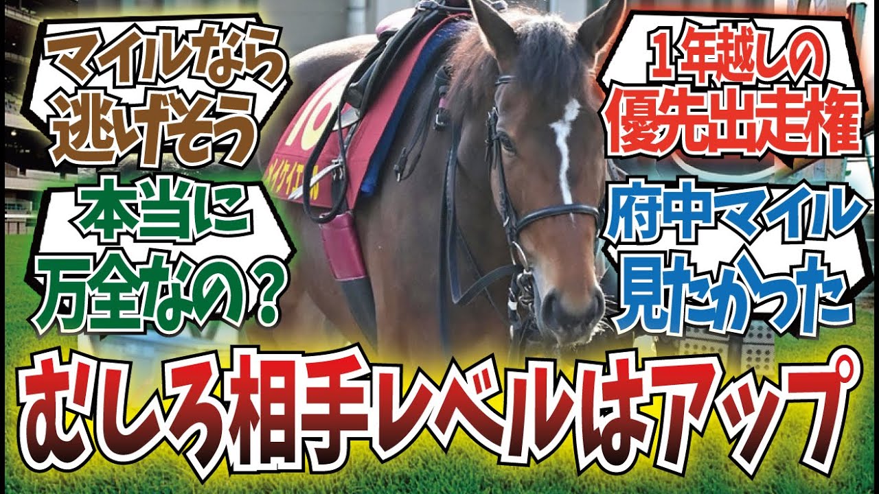 「面白いメンツに！メイケイエールが安田記念を目標に！」に対するみんなの反応集