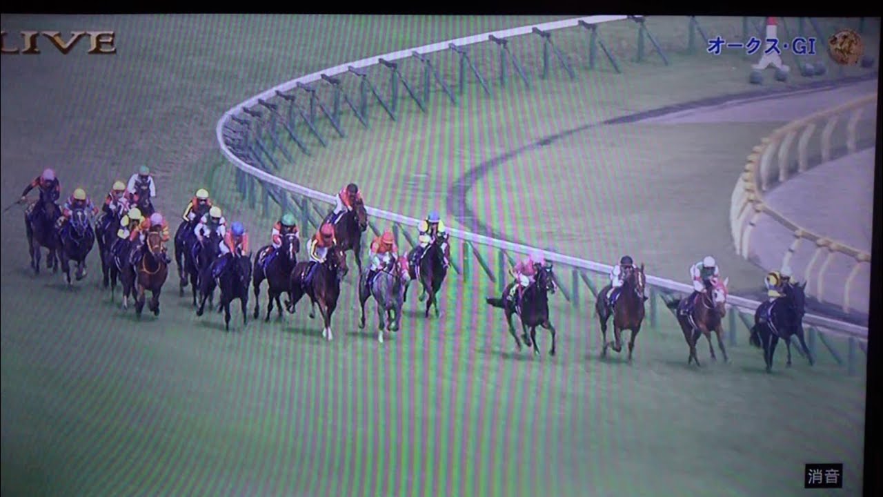2023/05/21 第84回オークス(優駿牝馬)(G1)【リバティアイランド牝馬2冠なるか！】