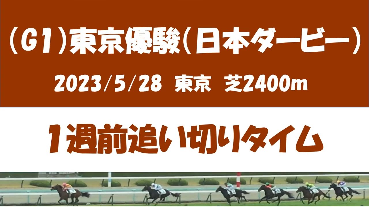 東京優駿（日本ダービー）１週前追い切り