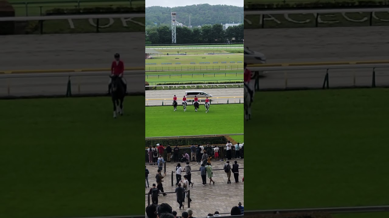 誘導馬さん、いつもありがとう