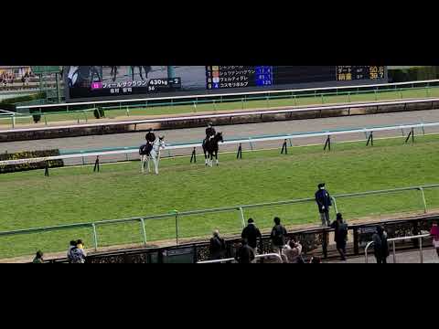 歩調を合わせようとしない誘導馬がいた…追いかけてみたらあの馬だった…