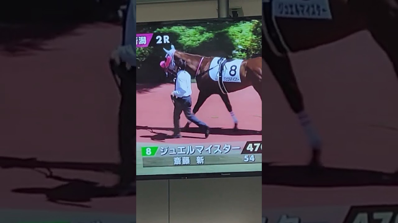 安田記念(GⅠ)で人気になりそうな馬のそっくりさん…がご登場