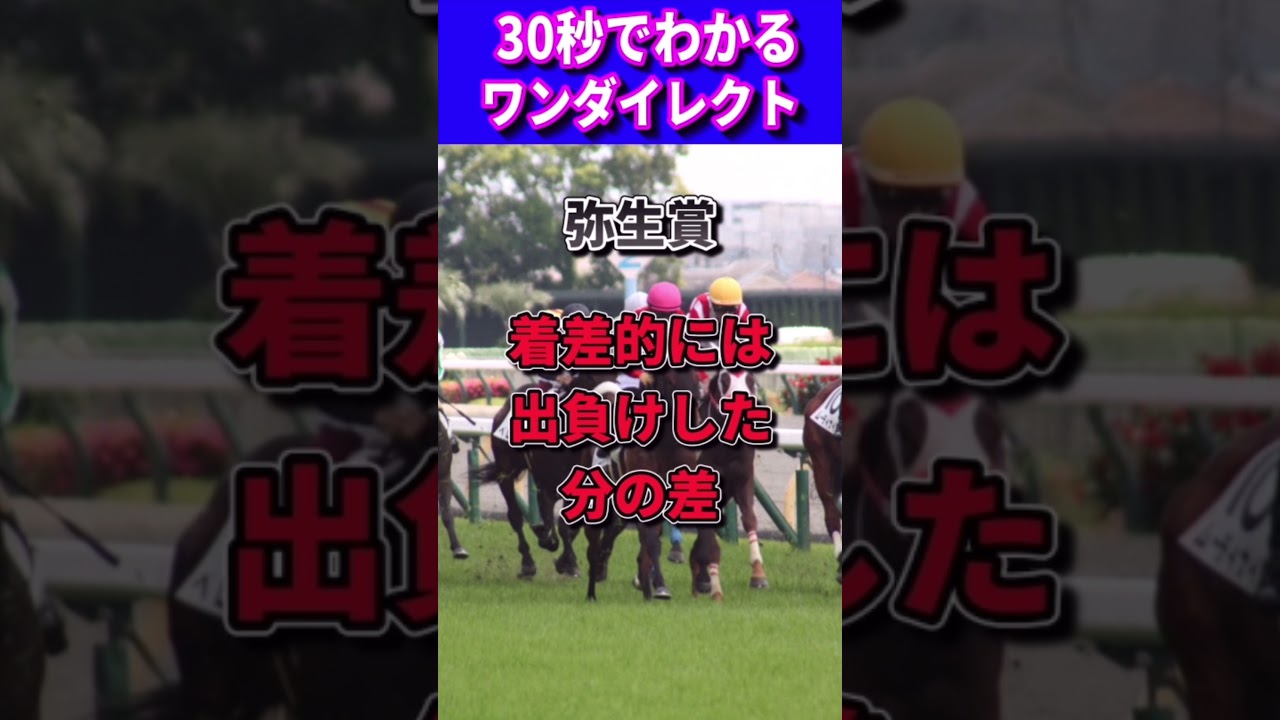【皐月賞2023】30秒でわかるワンダイレクト