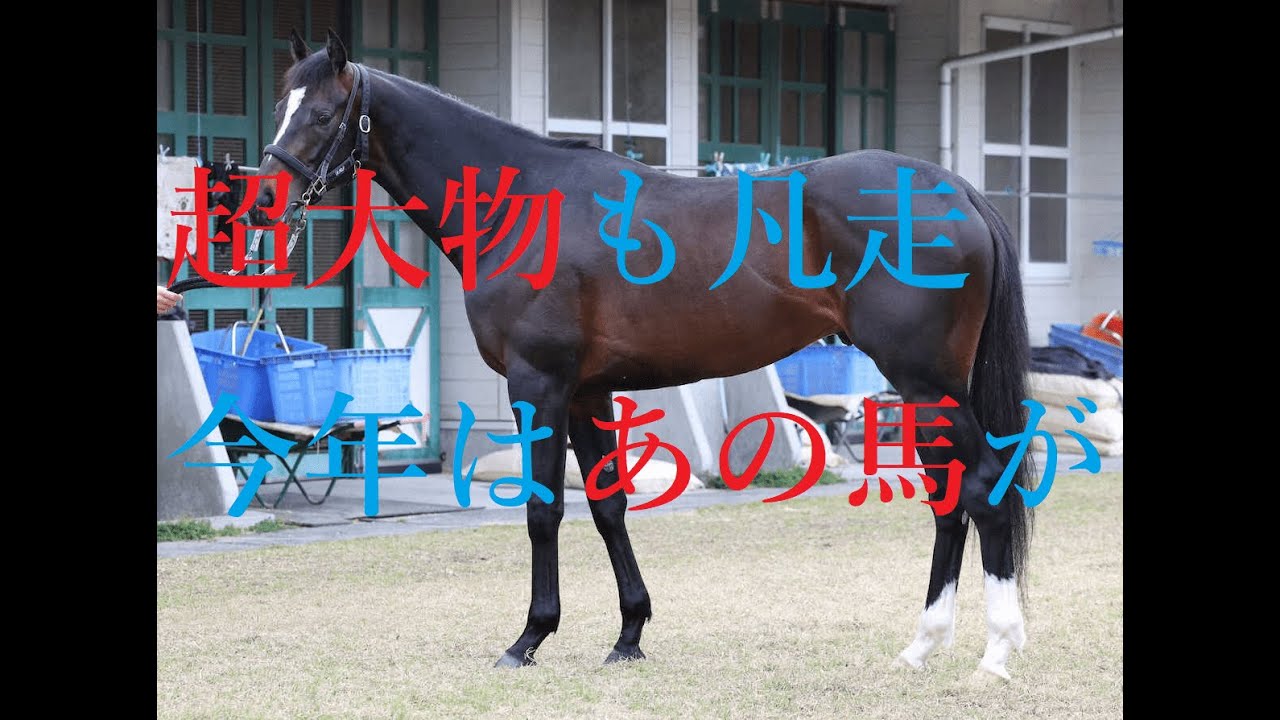 日本ダービー 2023 人気馬は買うな！！馬場悪化で人気馬総崩れ、人気薄がくる大波乱のシナリオ