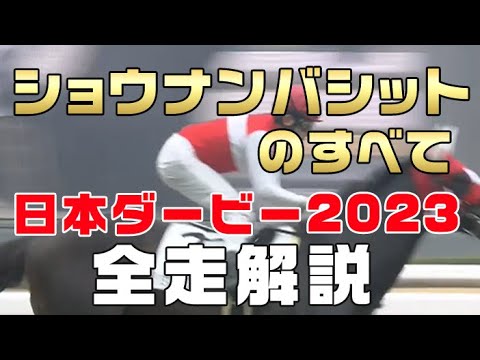 【ショウナンバシットのすべて】（日本ダービー2023 東京優駿）新馬戦から前走までのレースぶりを振り返ってみました。