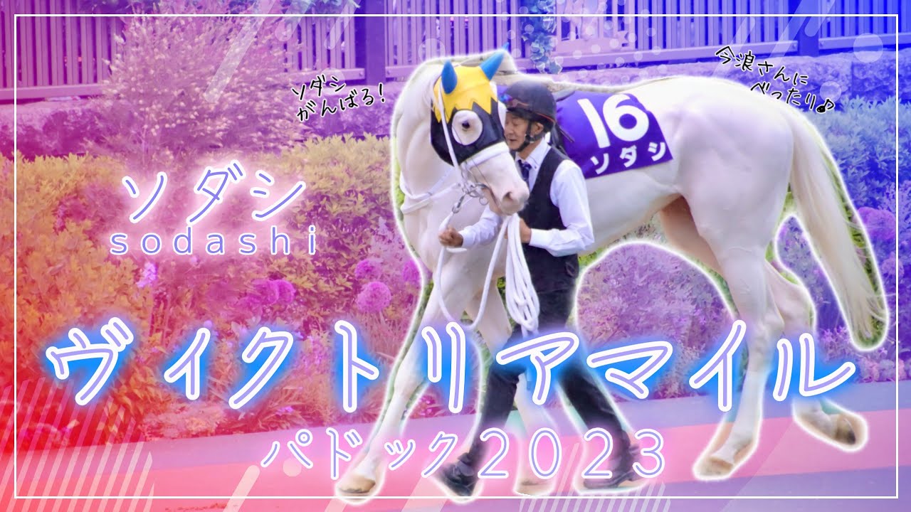 【ソダシの応援ヴィクトリアマイル2023パドック編】しゃべるソダシ