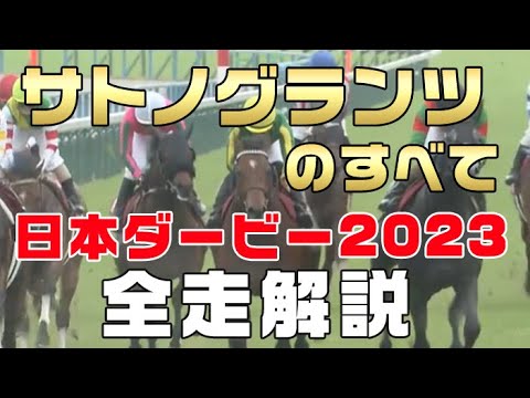 【サトノグランツのすべて】（日本ダービー2023 東京優駿）新馬戦から前走までのレースぶりを振り返ってみました。