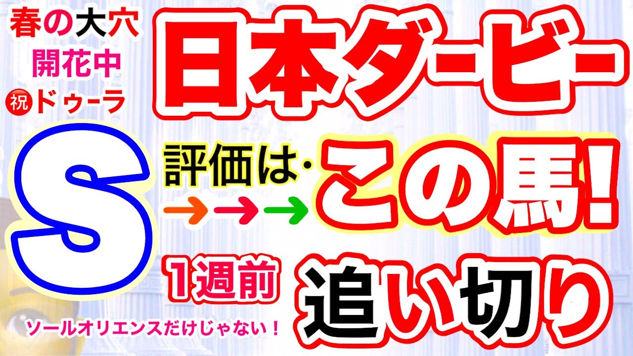 【日本ダービー2023】しーいちの1週前追い切り評価まだ決めつける必要はなくじっくり見てみました