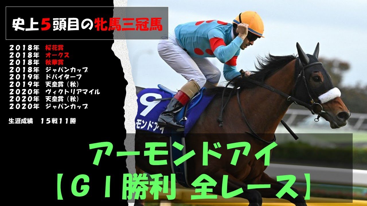 【三冠馬】アーモンドアイ　史上５頭目の牝馬三冠馬　ＧⅠ勝利全レース
