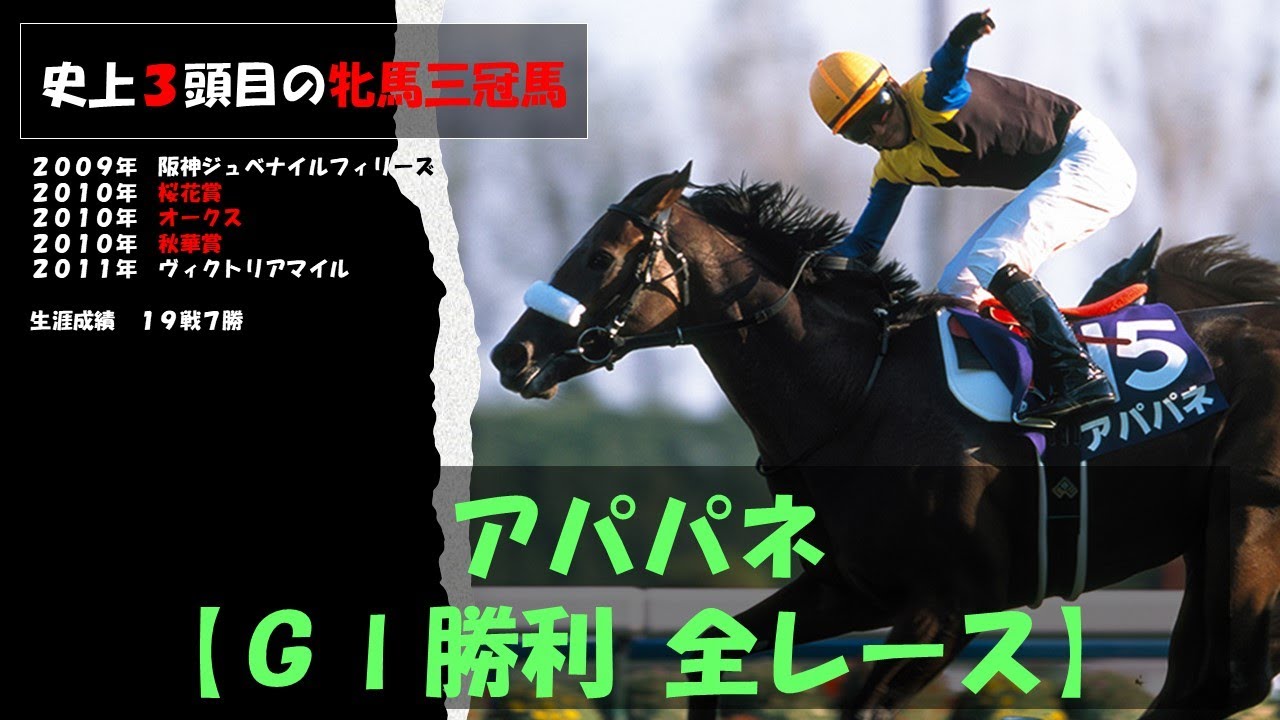 【三冠馬】アパパネ　史上３頭目の牝馬三冠馬　ＧⅠ勝利全レース