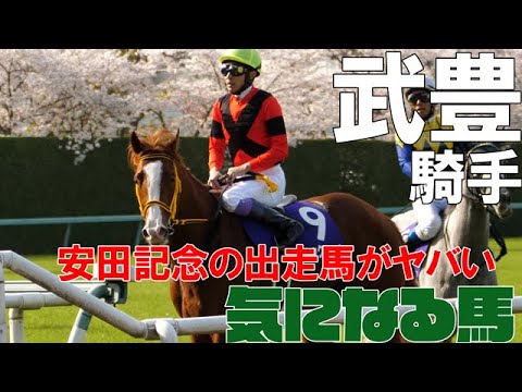 【武豊】ジャックドール出走の安田記念のメンバーが強力すぎてヤバい