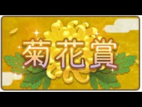 【ウマ娘】ルームマッチ　菊花賞