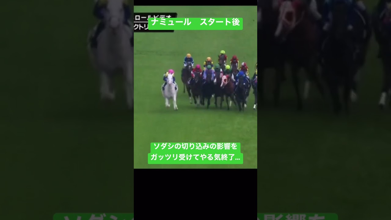 ヴィクトリアマイル ナミュールがもろに不利を受ける… #shorts