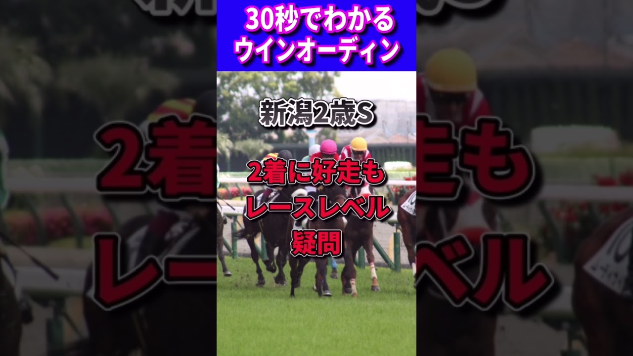 【皐月賞2023】30秒でわかるウインオーディン