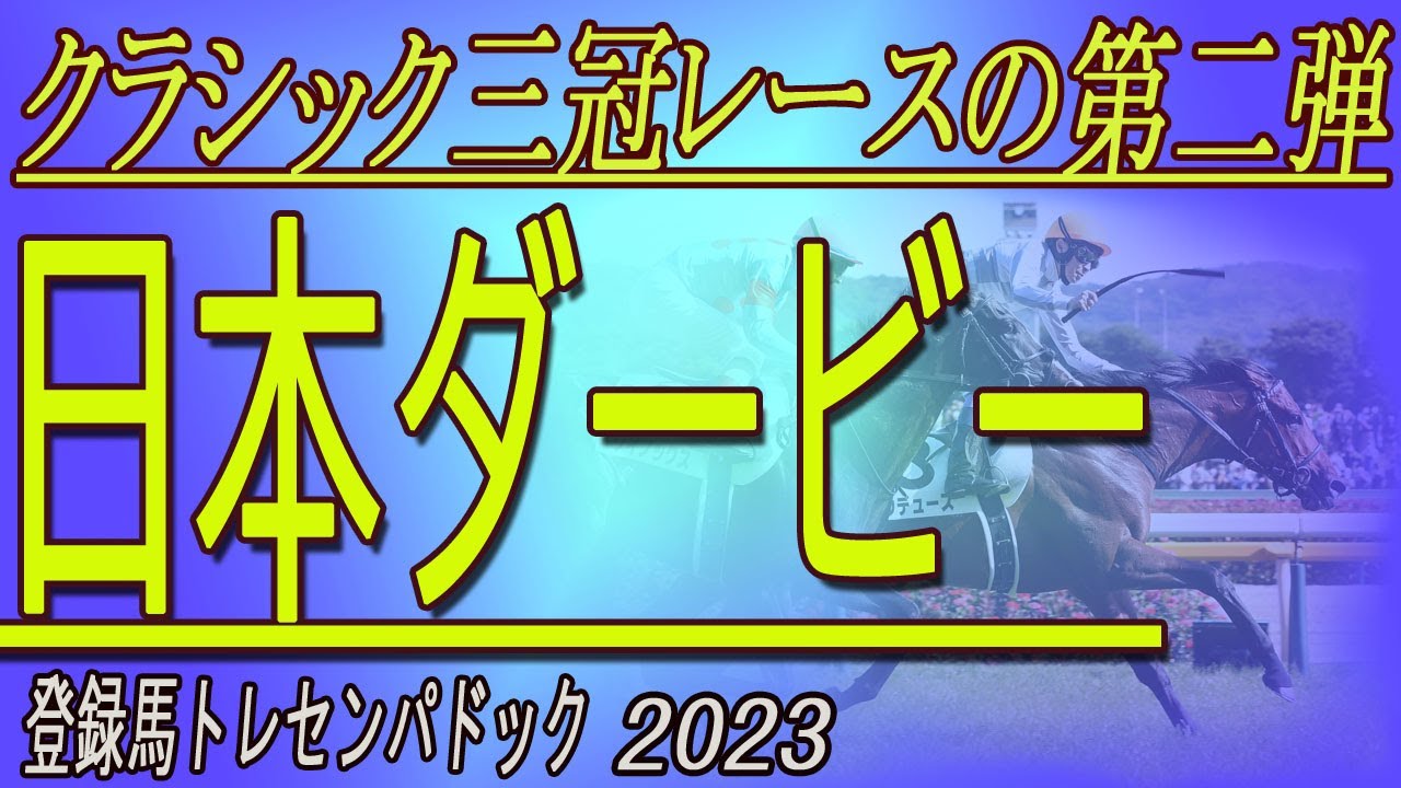 クラッシック３冠レース第２弾/   日本ダービー（東京優駿）（GⅠ）登録馬（１週前）トレセンパドック2023　Racehorses with music