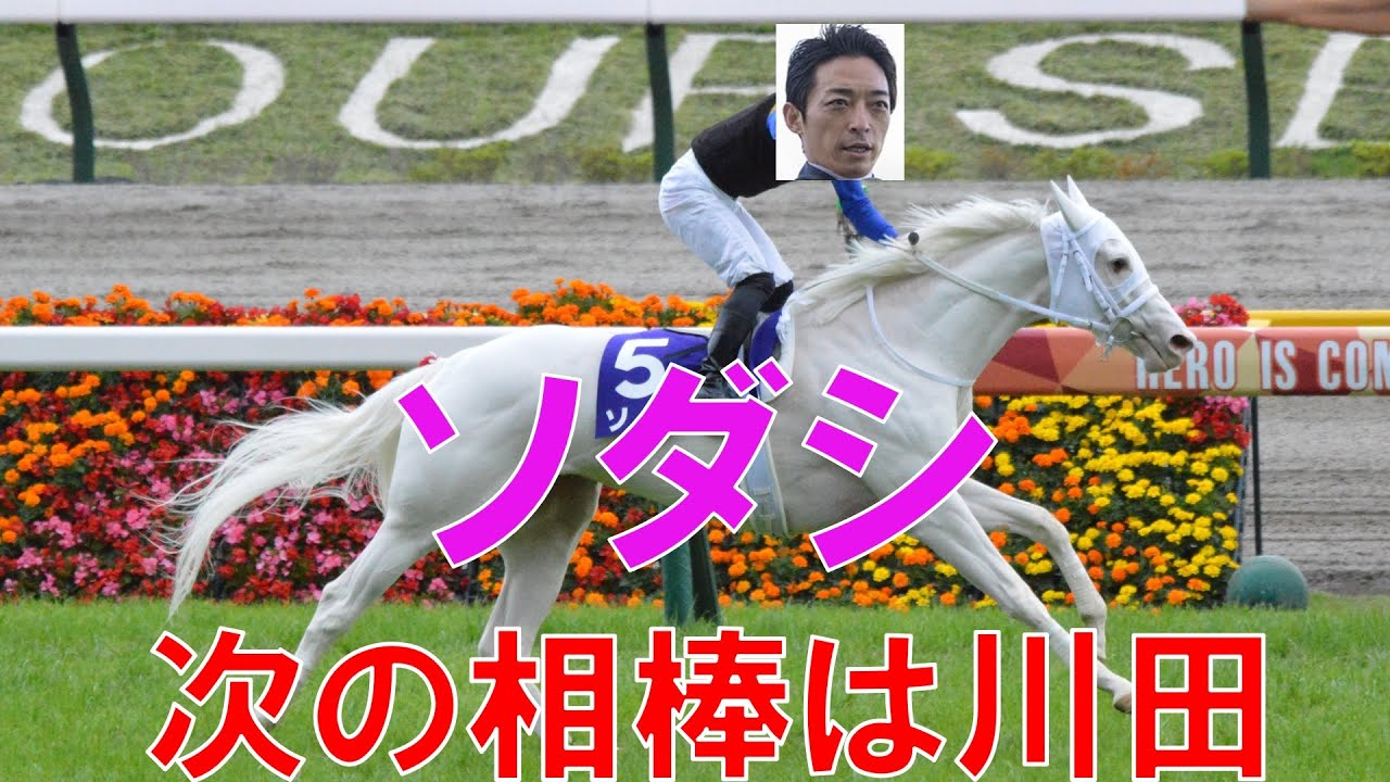 ソダシ　安田記念で川田将雅に乗り替わり　吉田隼人ではないのか