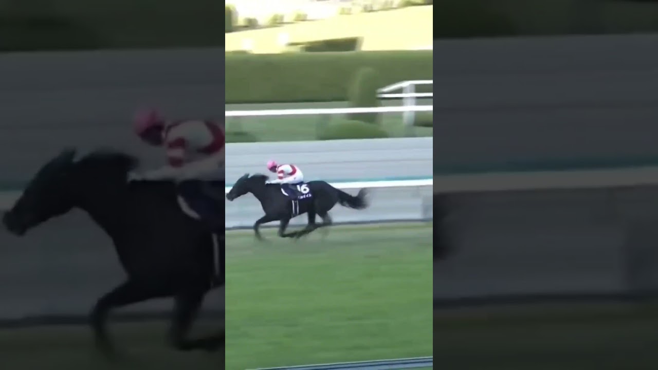 競馬にハマるようになったレース#Shorts #競馬 #競馬好き #アカイイト #幸英明 #推し #g1 #エリザベス女王杯2021