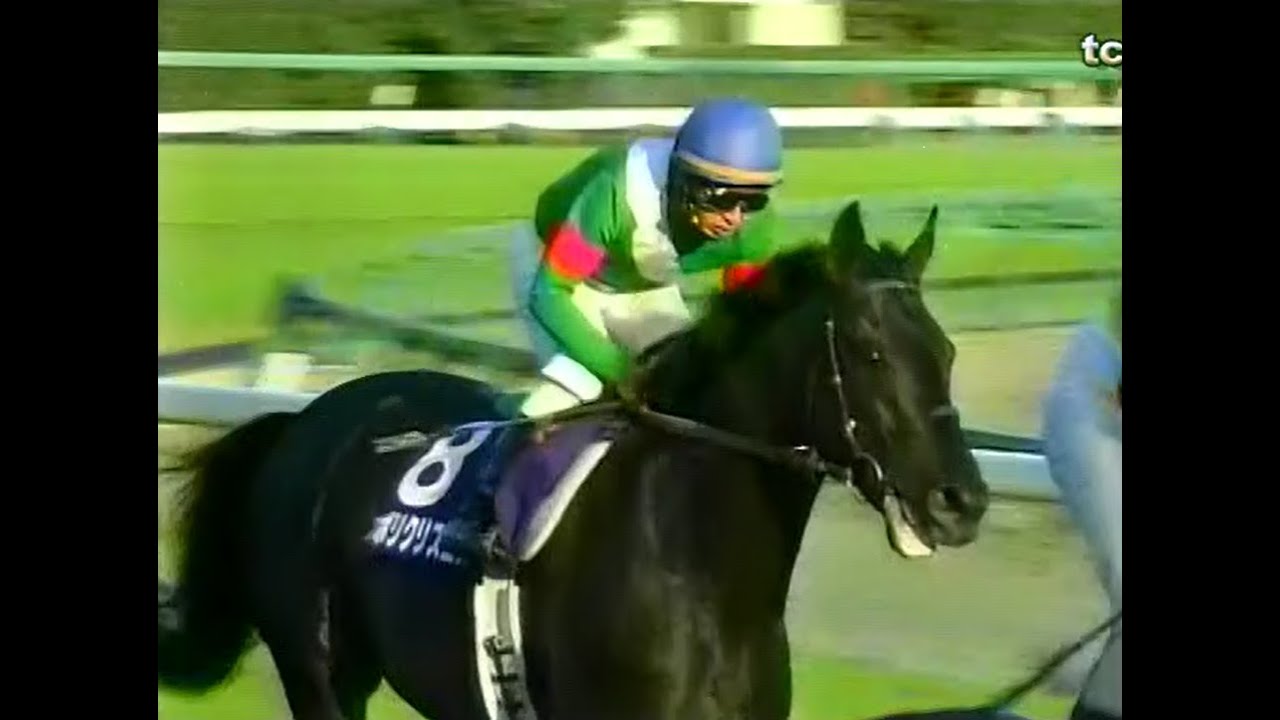 中央競馬　天皇賞(秋)　G1　2002　中山競馬場　Japan Racing Association Grade-1 race