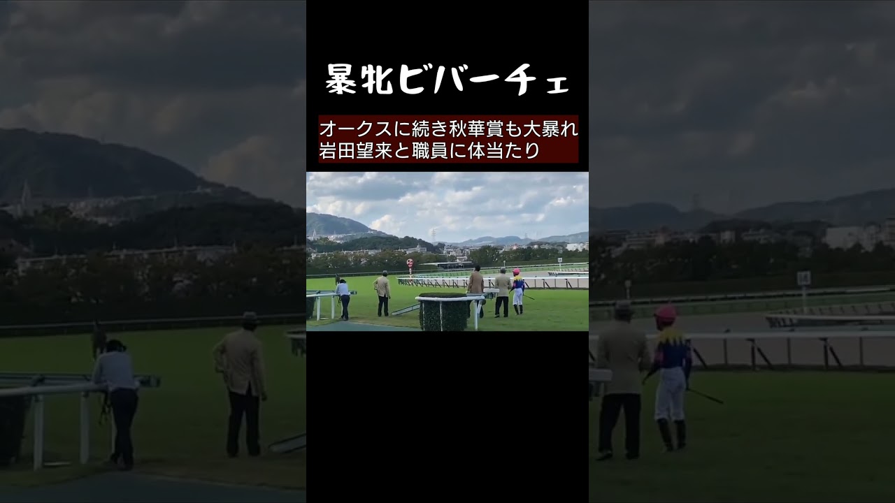 秋華賞もオークスも主役はサウンドビバーチェ大暴れ