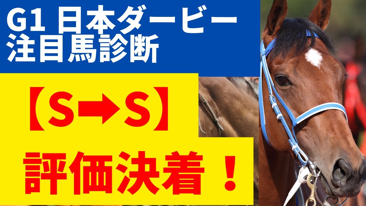 【G1 日本ダービー 2023 注目馬診断】【S評価２頭】の完全決着🎯【🤩お宝穴馬候補】は、想定２桁人気の【コノ２頭】です‼『先週：G1 オークス 【🤩お宝穴馬】ドゥーラ(15人気）3着的中🎯』