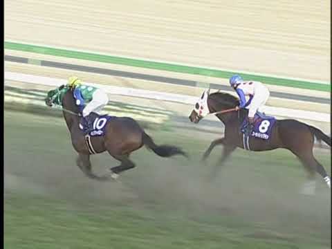 第４５回　有馬記念
