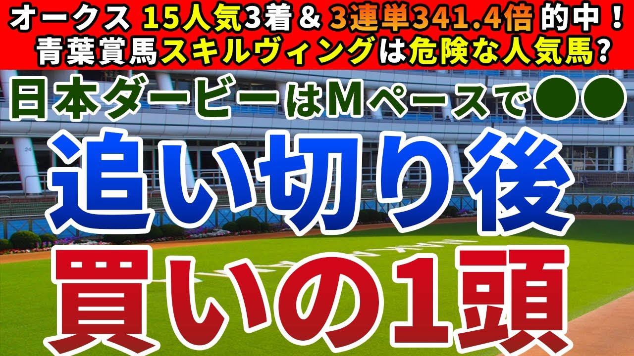 日本ダービー(東京優駿)2023 追い切り後【買いの1頭】公開！ペースと位置取りの関係から好走馬を探る！青葉賞馬スキルヴィングは買える？買えない？