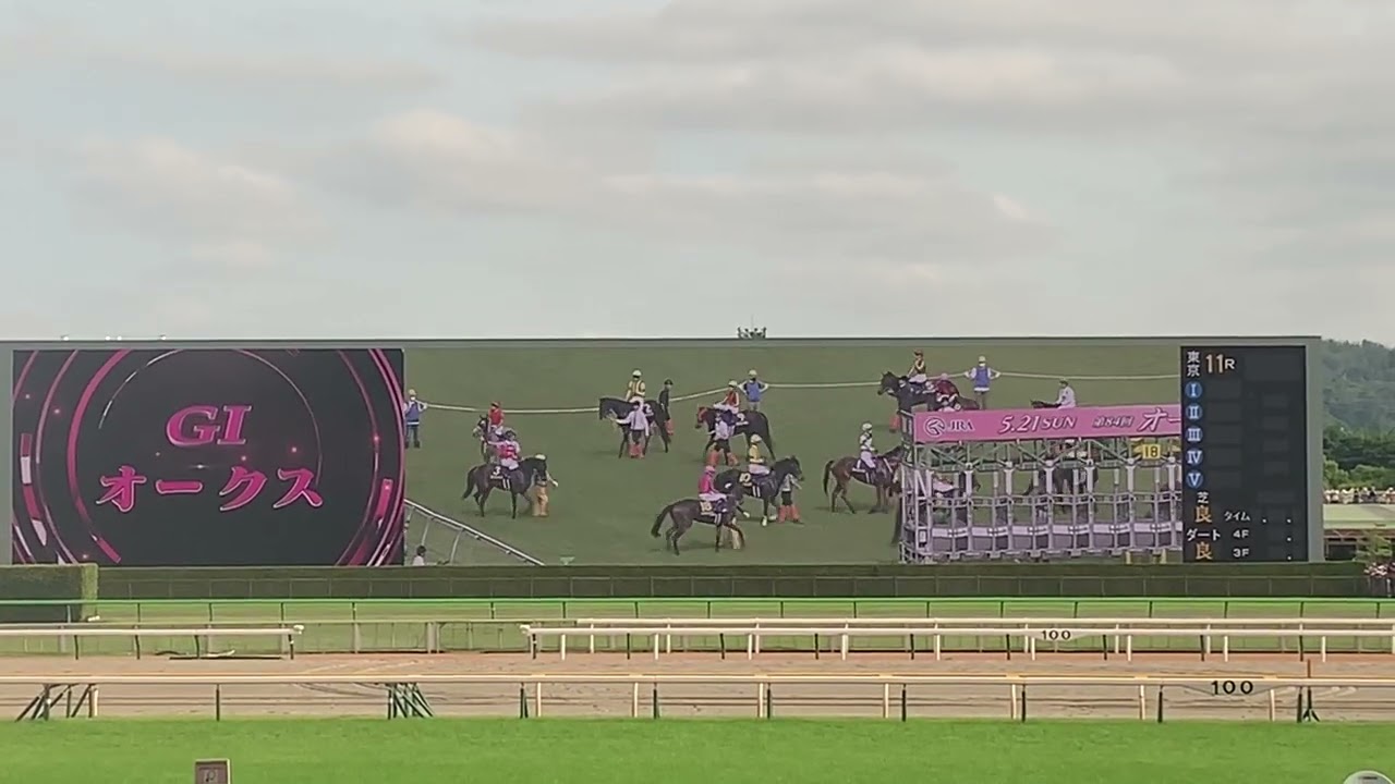 第84回 優駿牝馬(オークス) 現地ターフビジョン (2023/05/21)